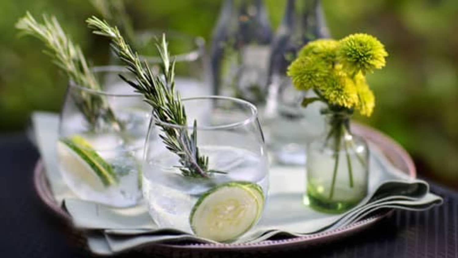 Cucumber-Rosemary Gin And Tonic-image