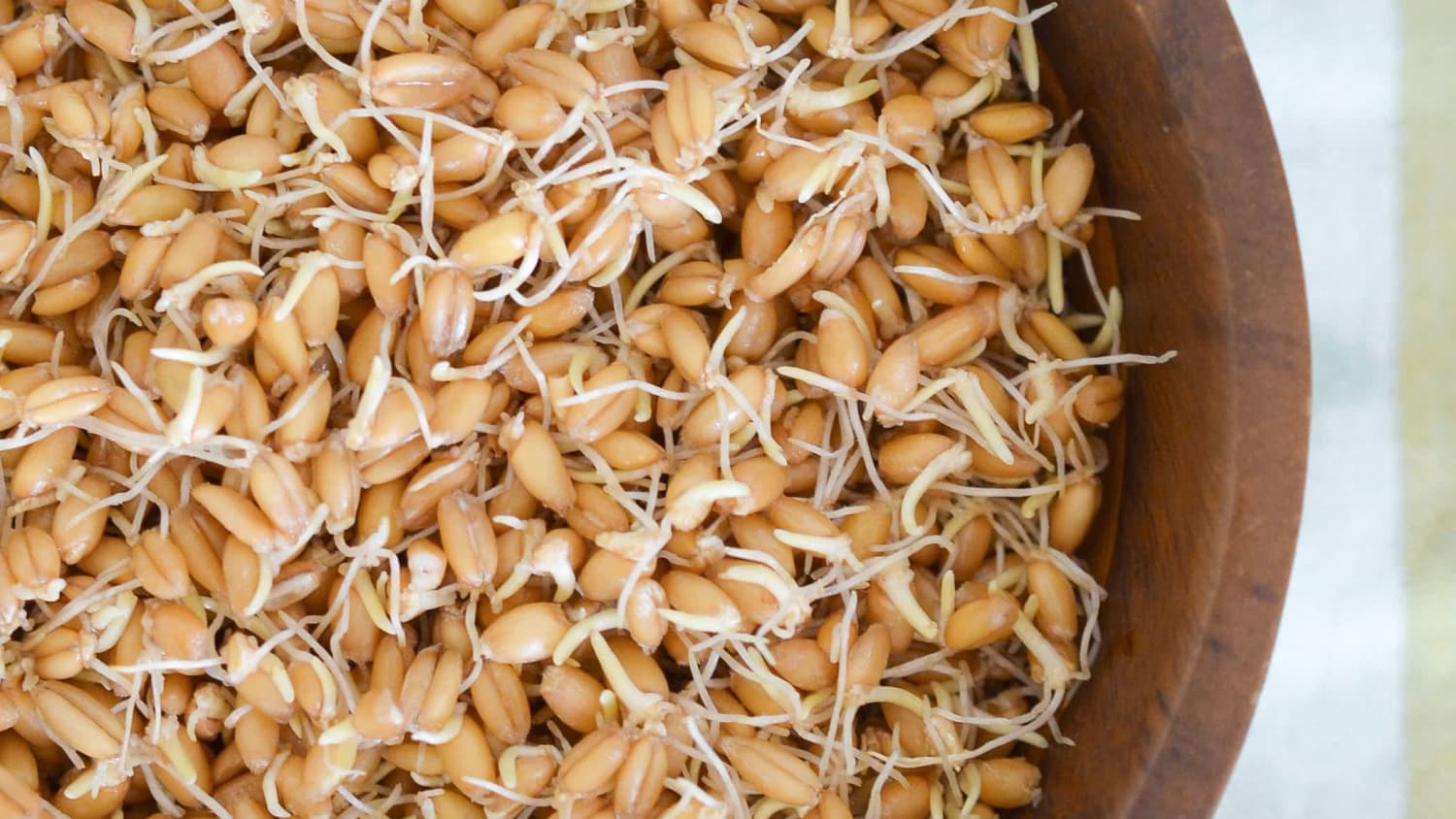 How To Make Sprouted Grains-image