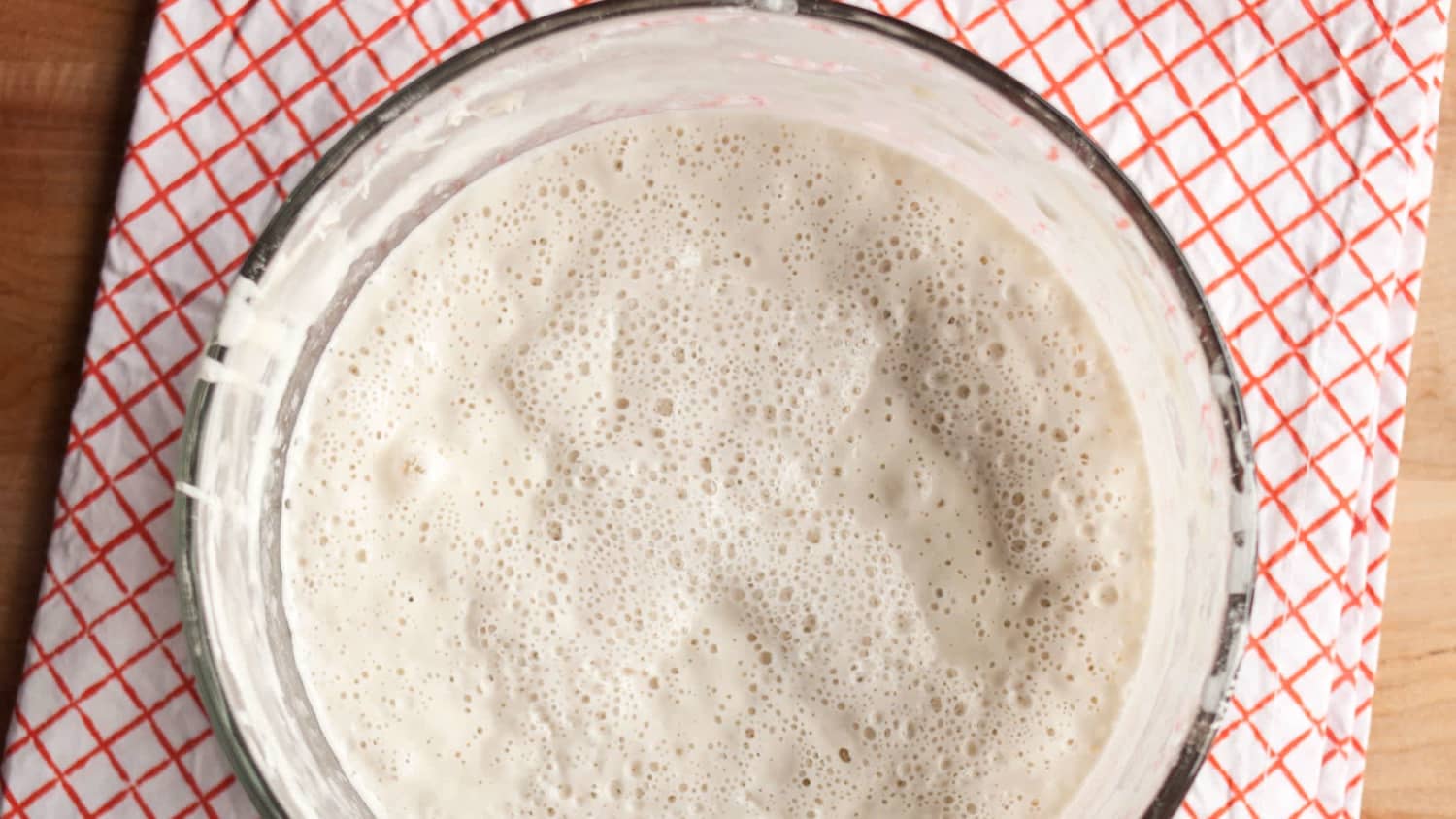 How To Make Your Own Sourdough Starter-image