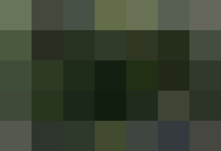 (placeholder)
