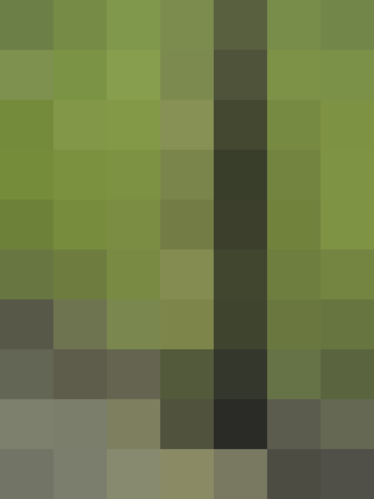 (placeholder)