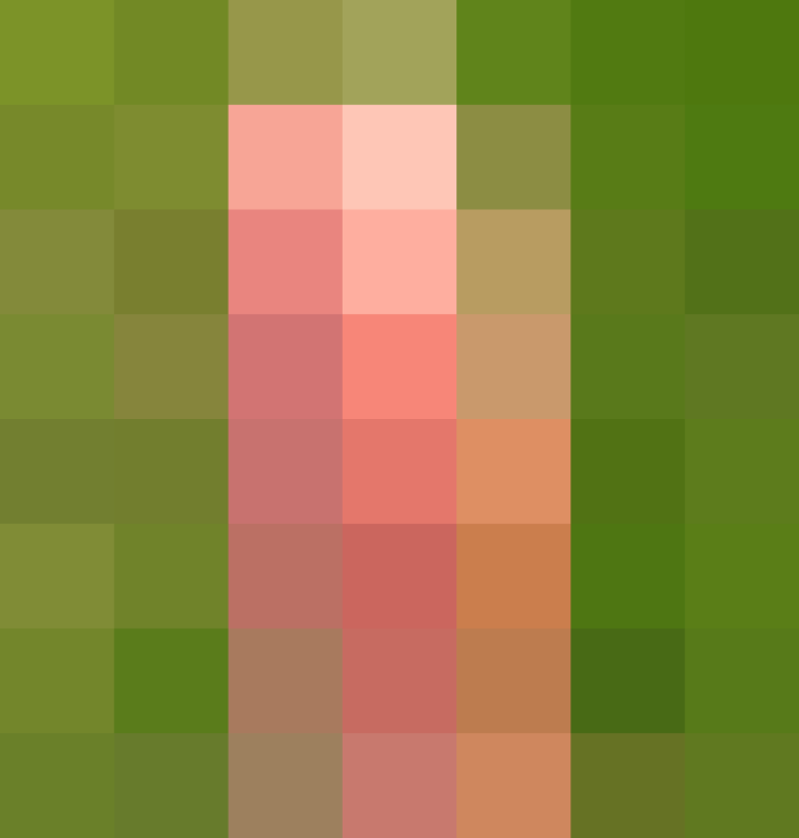 (placeholder)