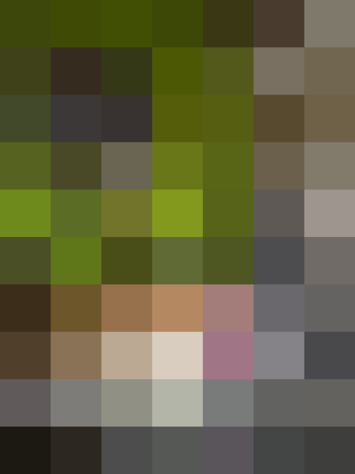 (placeholder)