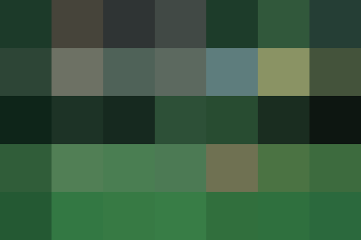 (placeholder)