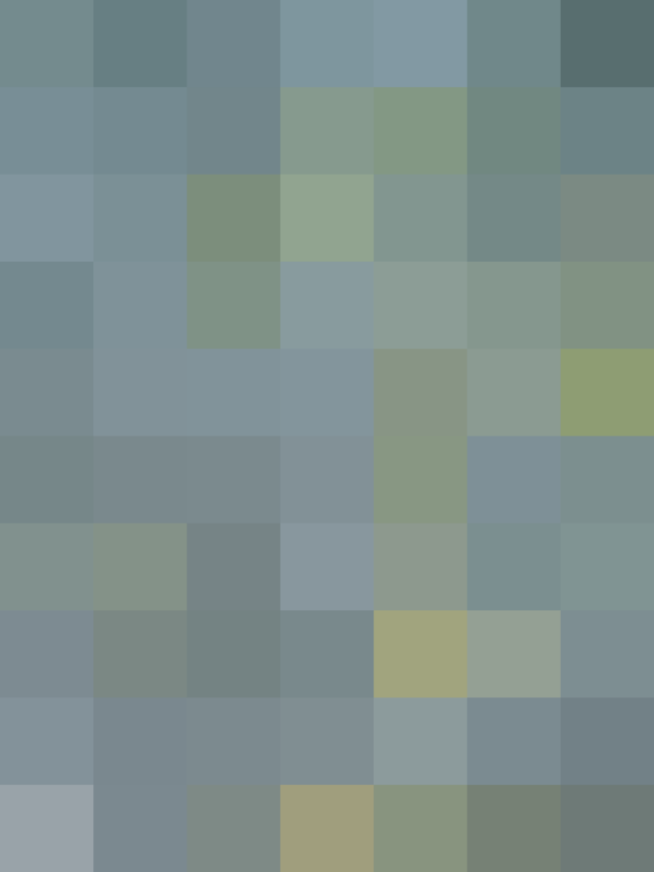 (placeholder)