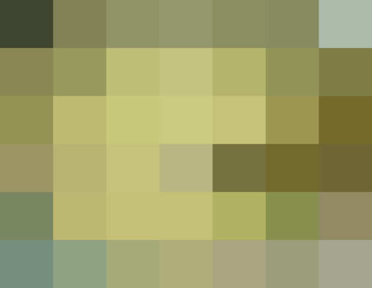 (placeholder)