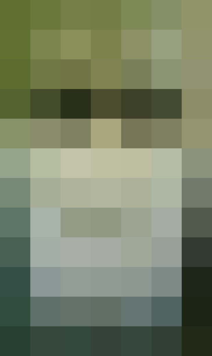 (placeholder)