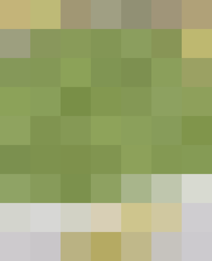 (placeholder)
