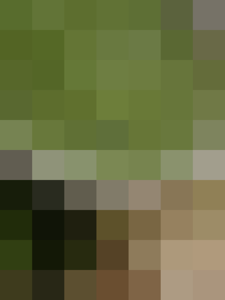 (placeholder)