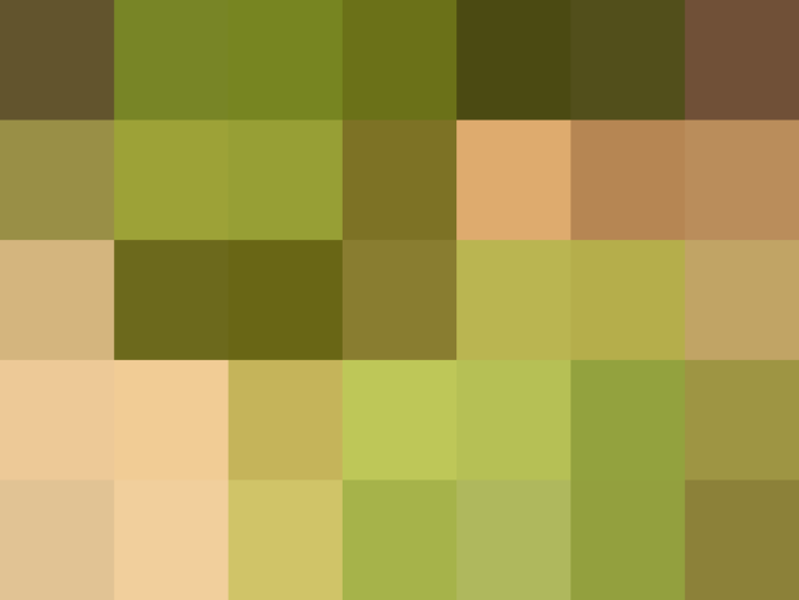 (placeholder)