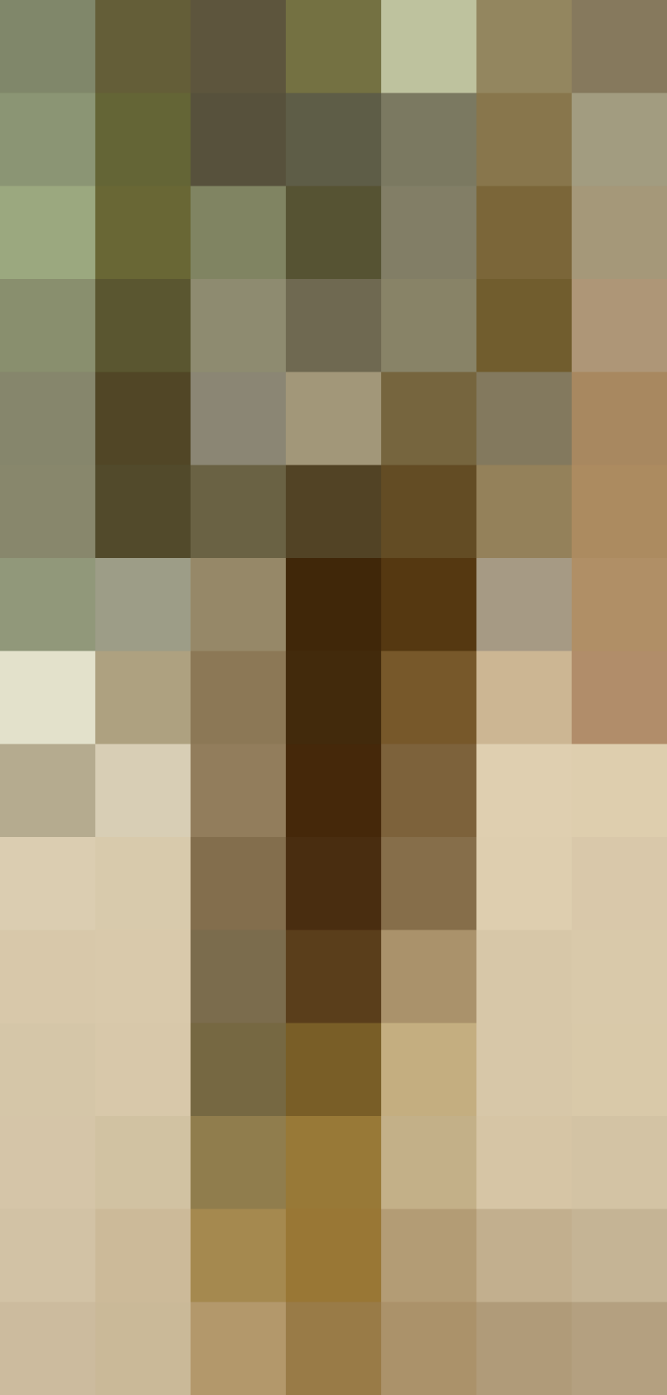 (placeholder)