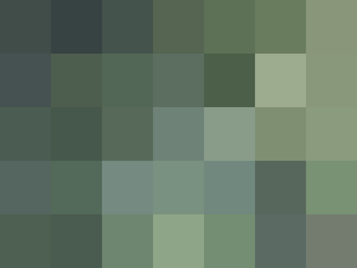 (placeholder)
