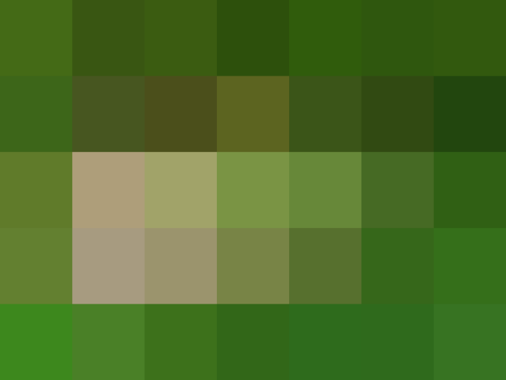 (placeholder)