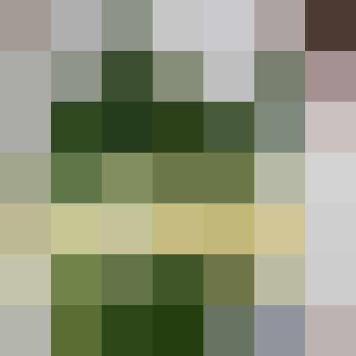 (placeholder)