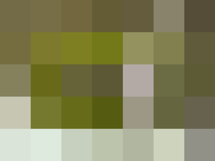 (placeholder)