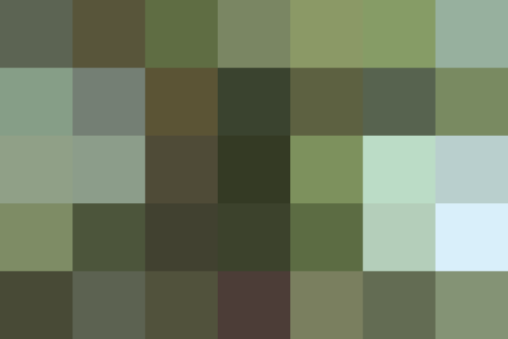 (placeholder)