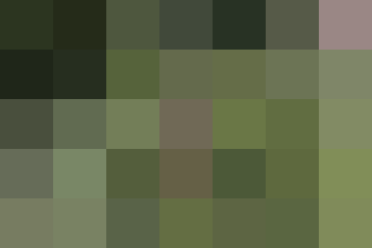 (placeholder)