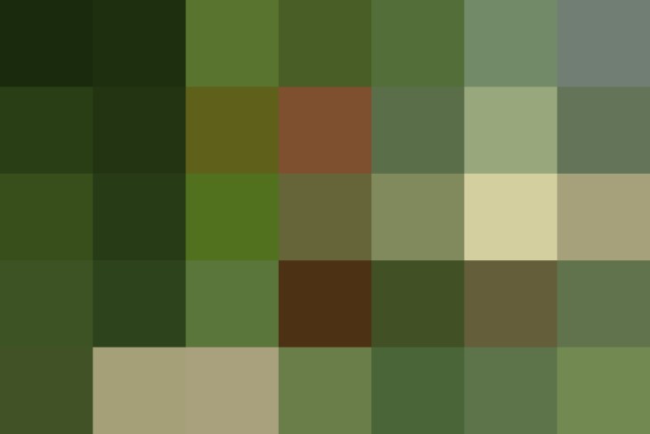 (placeholder)