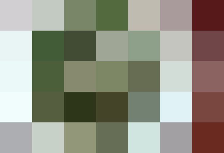(placeholder)