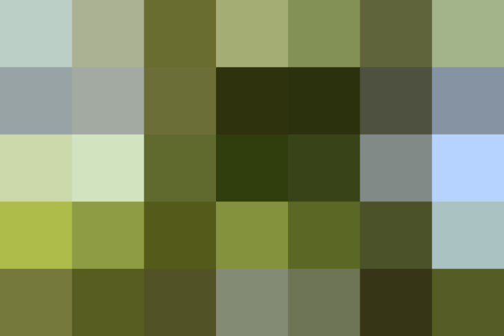 (placeholder)