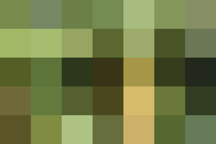 (placeholder)