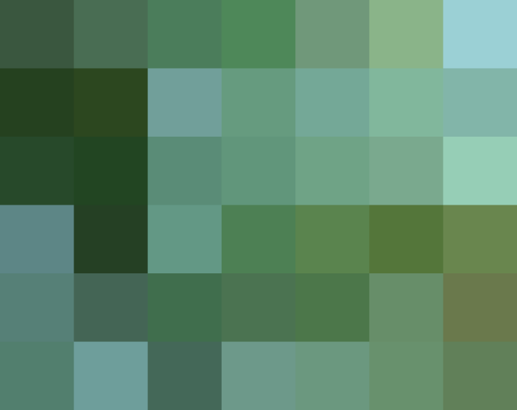 (placeholder)