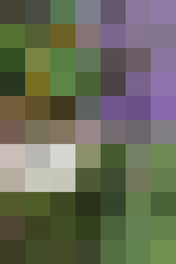 (placeholder)