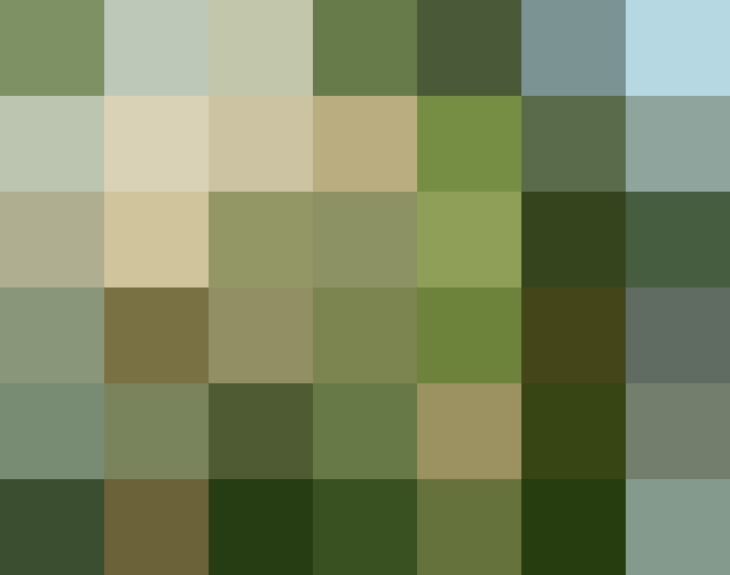 (placeholder)