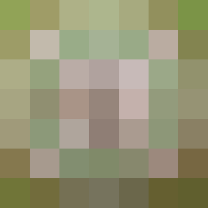 (placeholder)