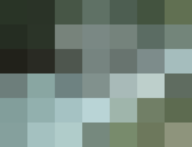 (placeholder)