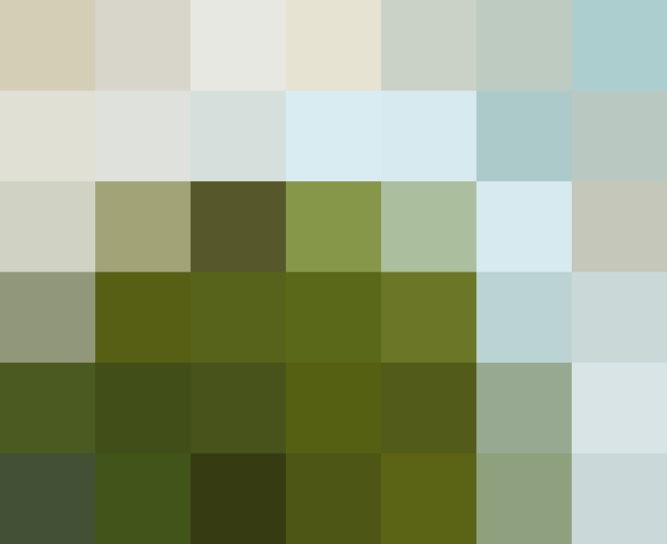 (placeholder)