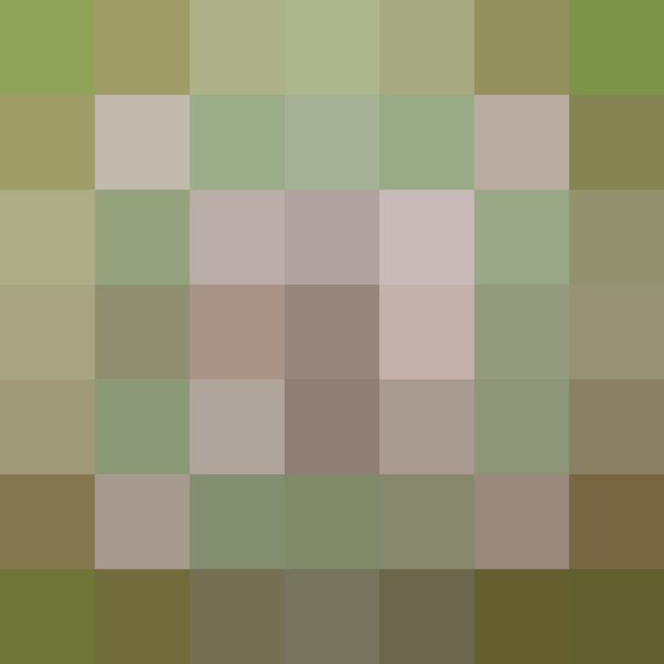 (placeholder)