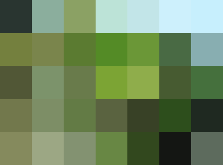 (placeholder)