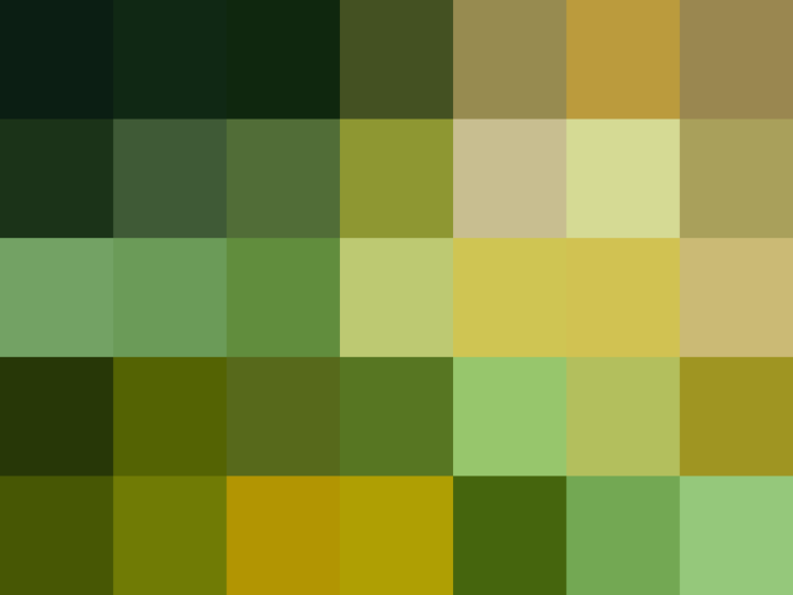 (placeholder)