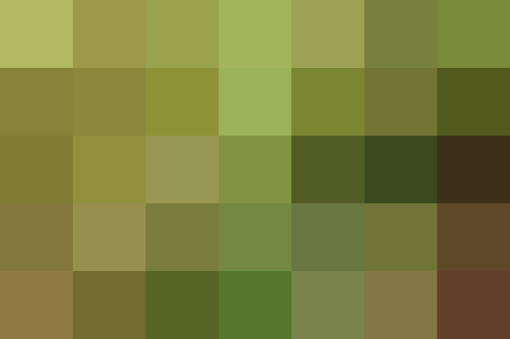 (placeholder)