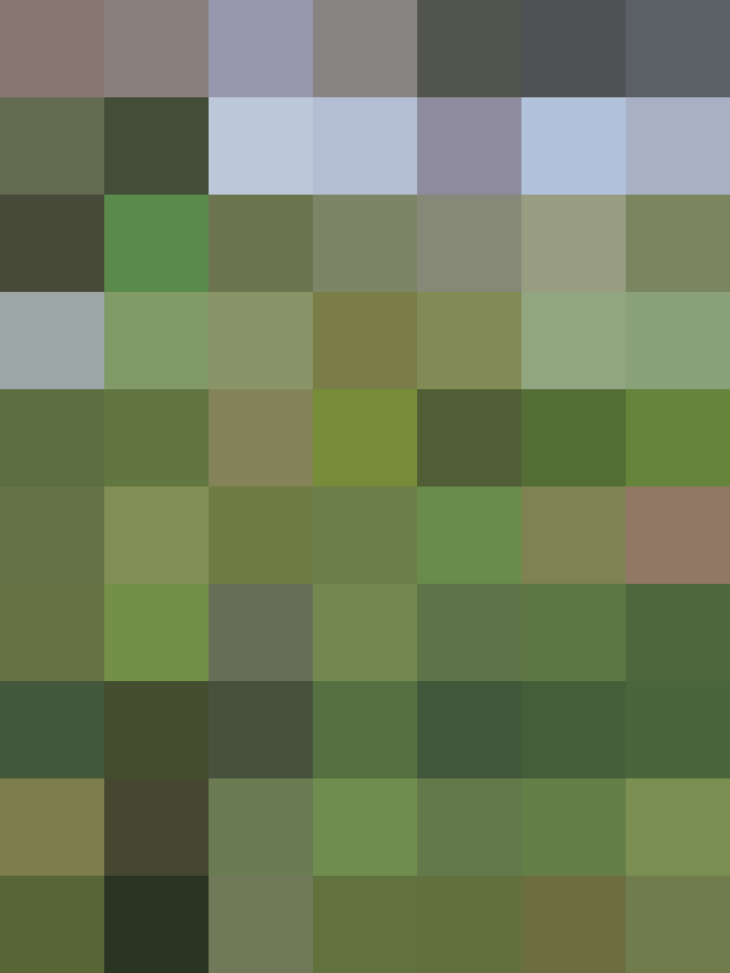 (placeholder)