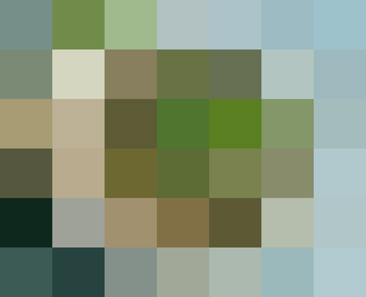 (placeholder)