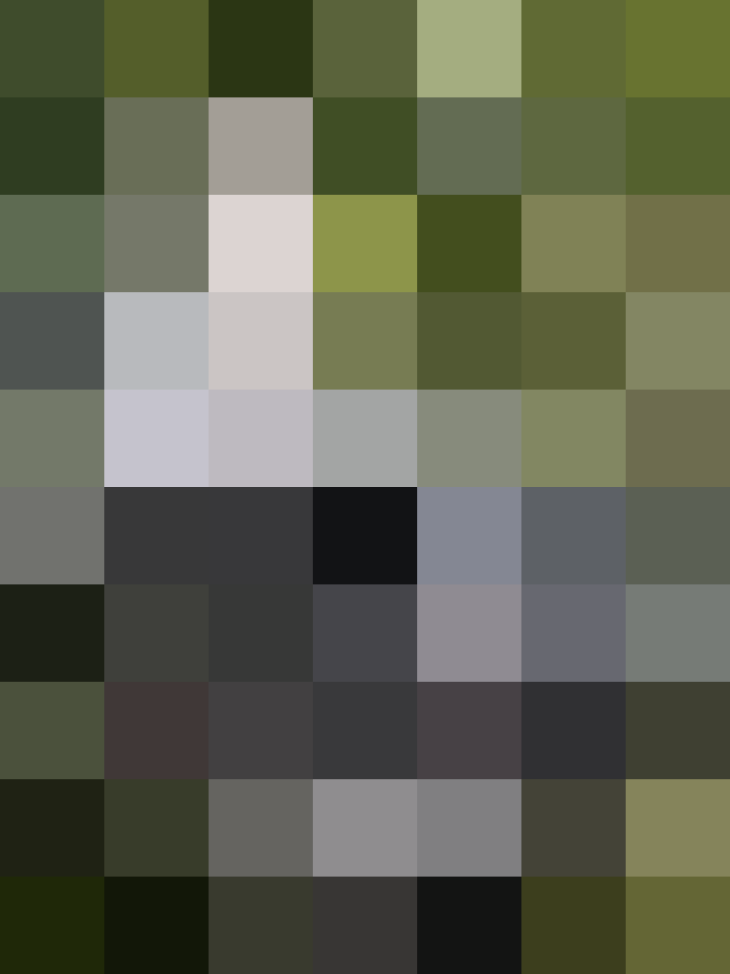 (placeholder)
