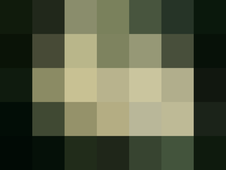 (placeholder)