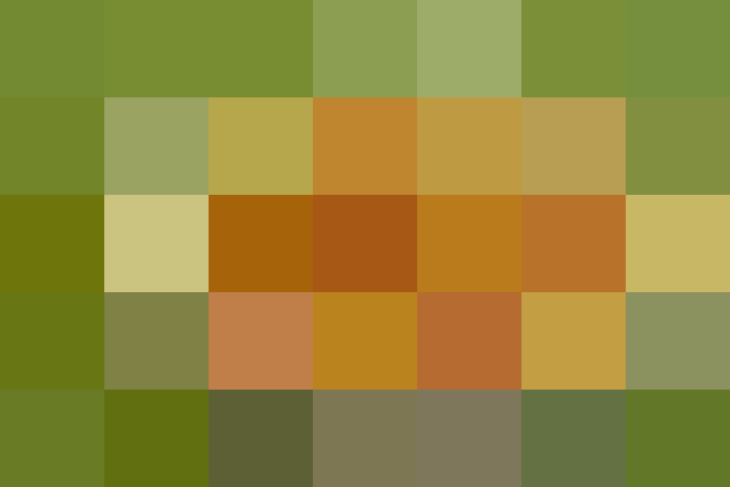 (placeholder)