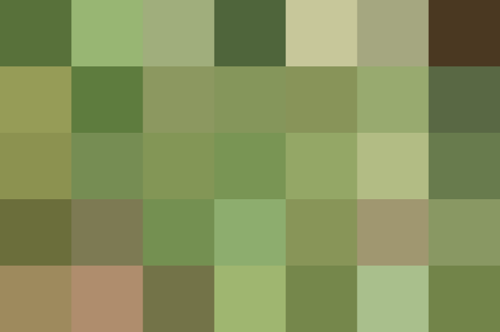 (placeholder)