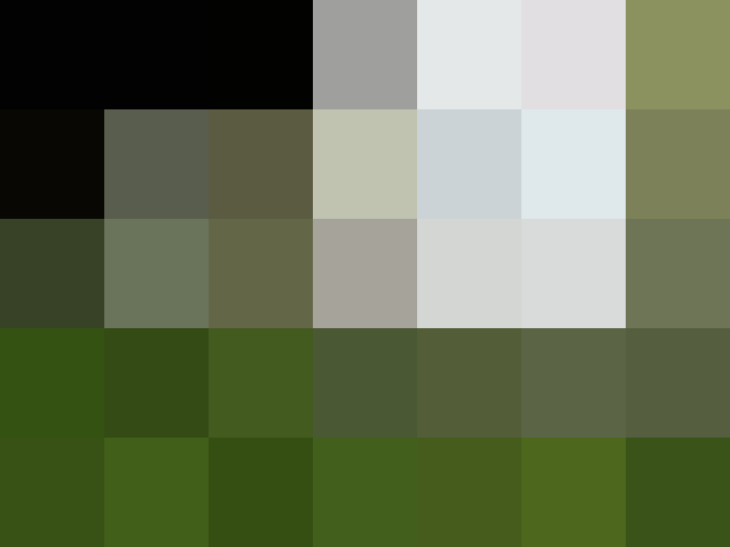 (placeholder)