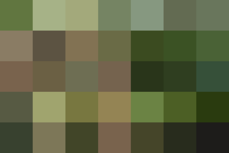 (placeholder)