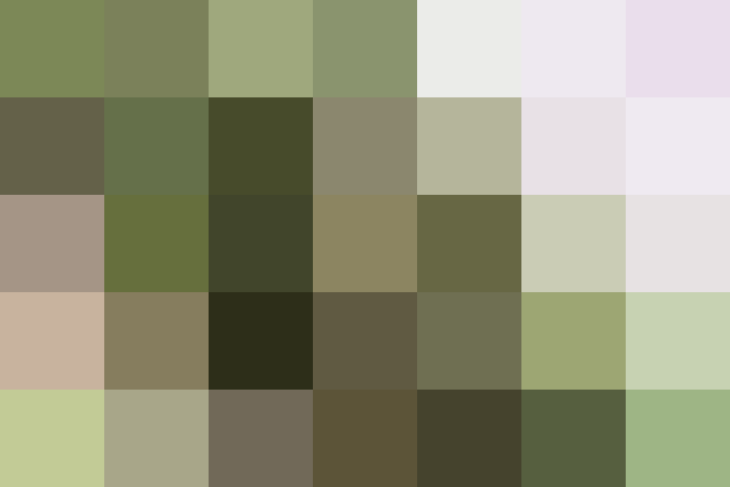 (placeholder)