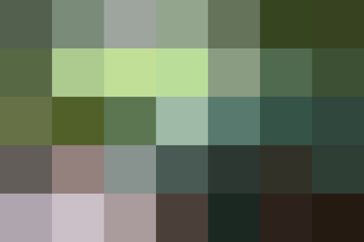 (placeholder)