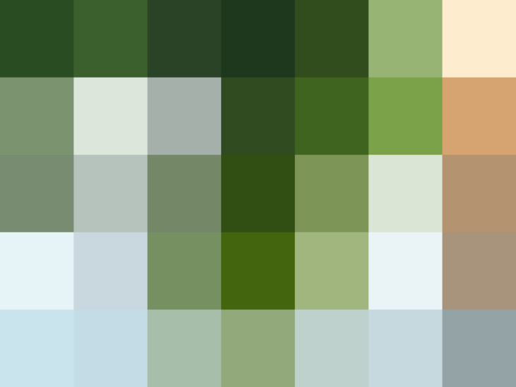 (placeholder)