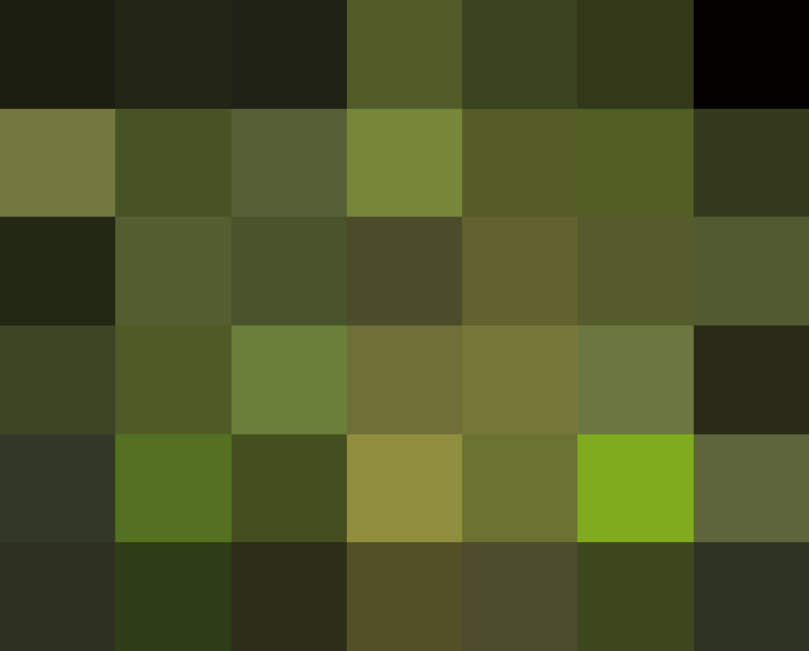 (placeholder)