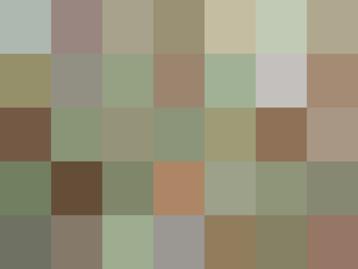 (placeholder)
