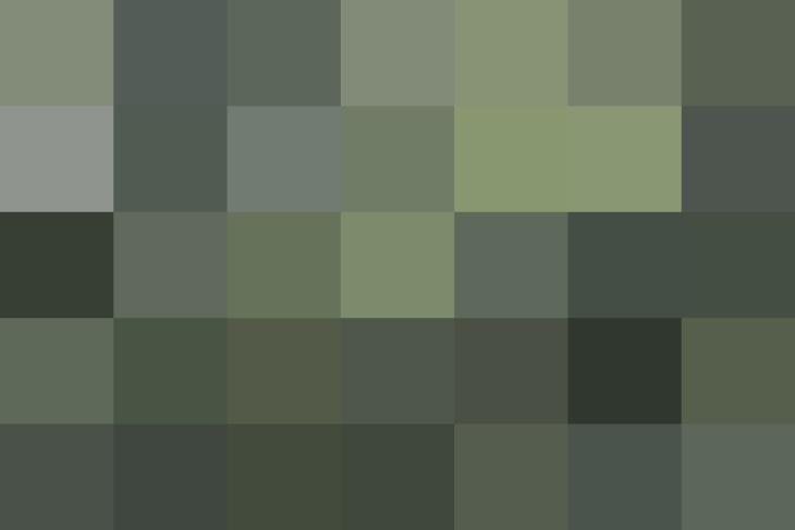 (placeholder)