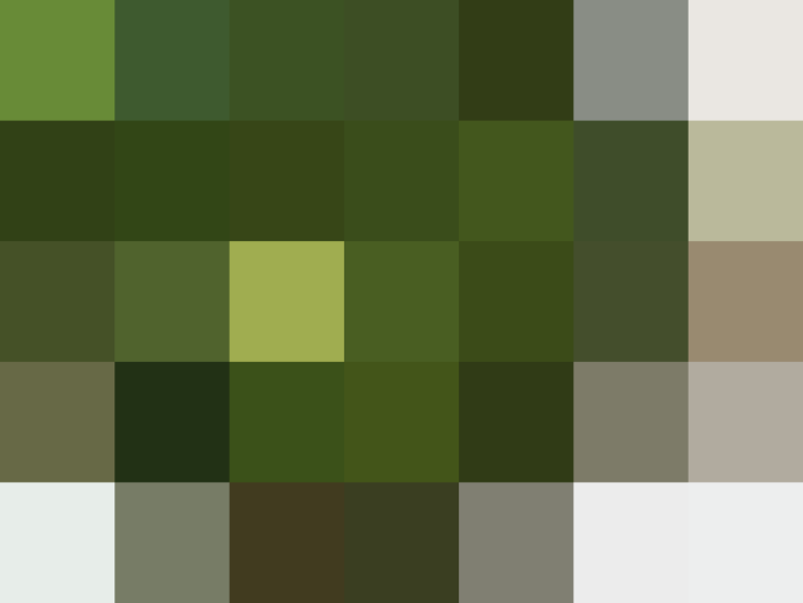 (placeholder)